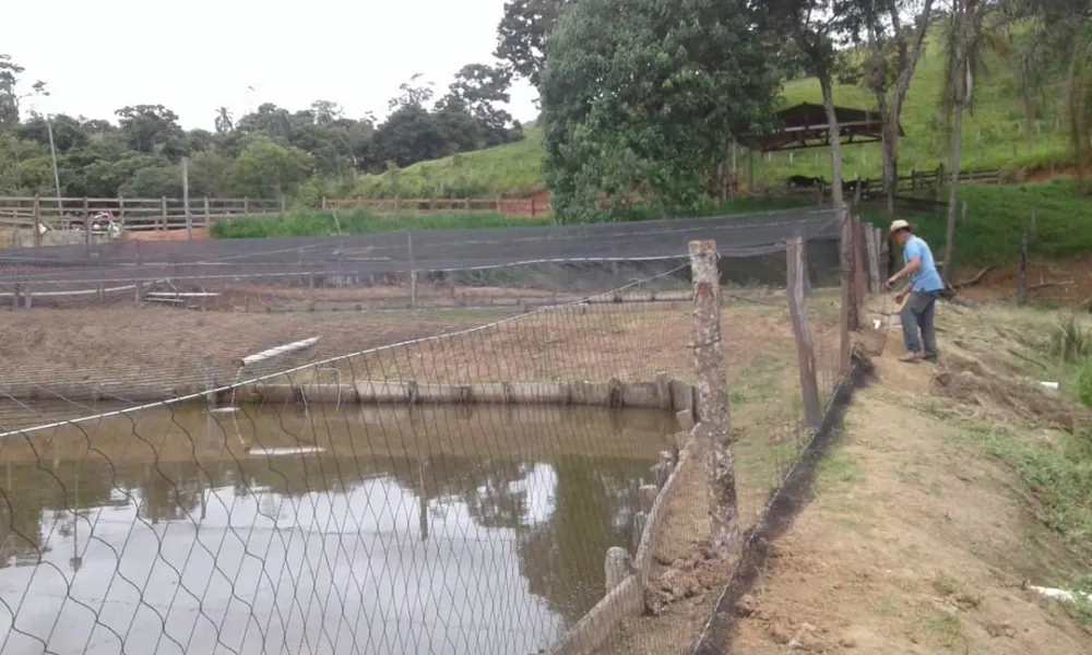 Rede fixada em viveiro escavado